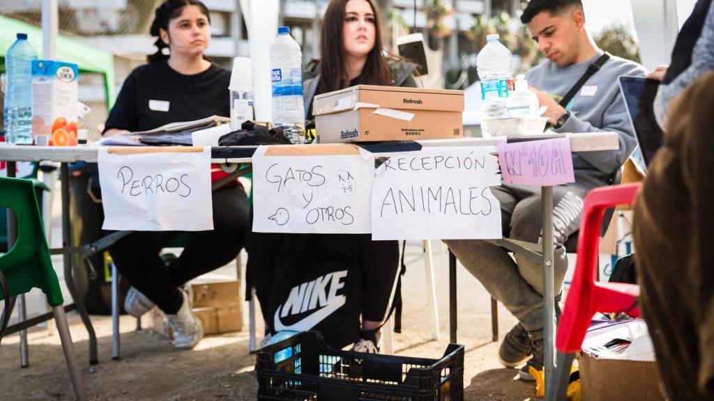 Voluntarios ayudando en el polideportivo de Benimaclet, hace un año.