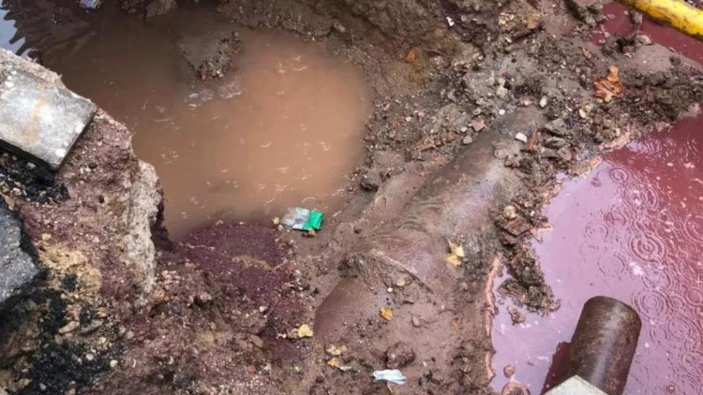 Imagen difundida en las redes sociales del concejal Guillermo Ortiz.