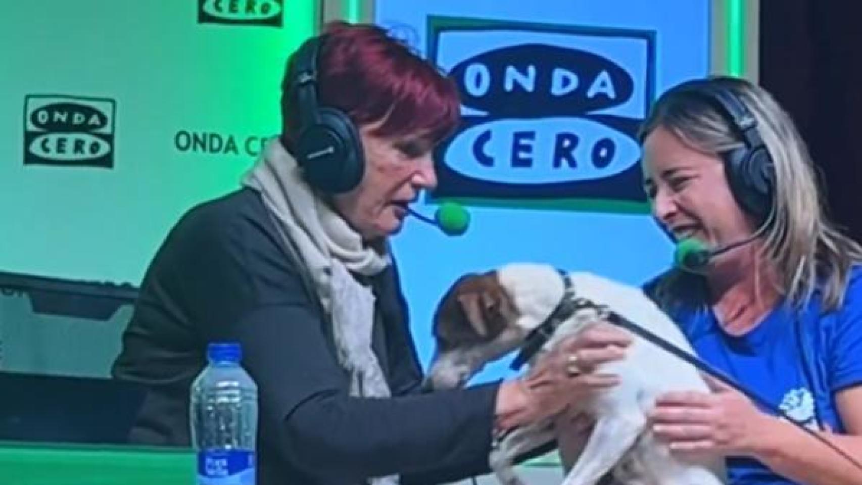 El precioso regalo de Alsina a Amparo, que perdió a su perro en la dana.