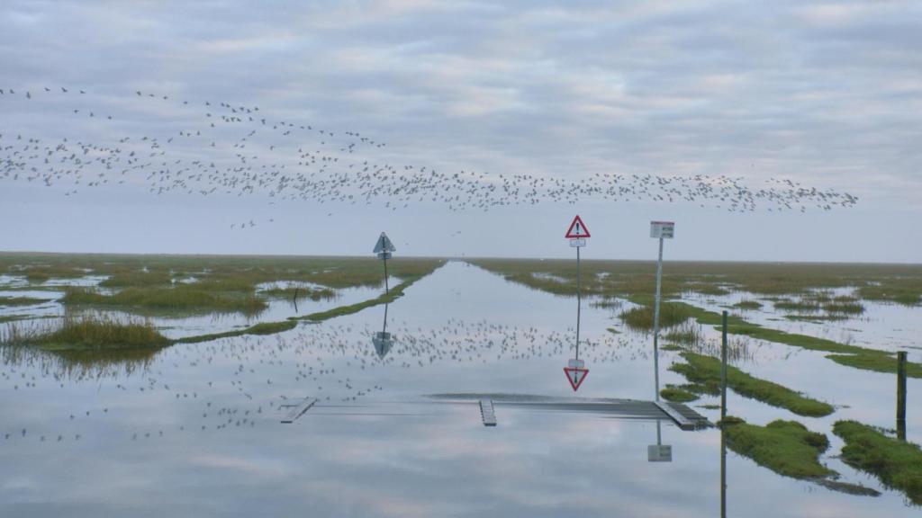 Fotograma del documental: la carretera a la isla.