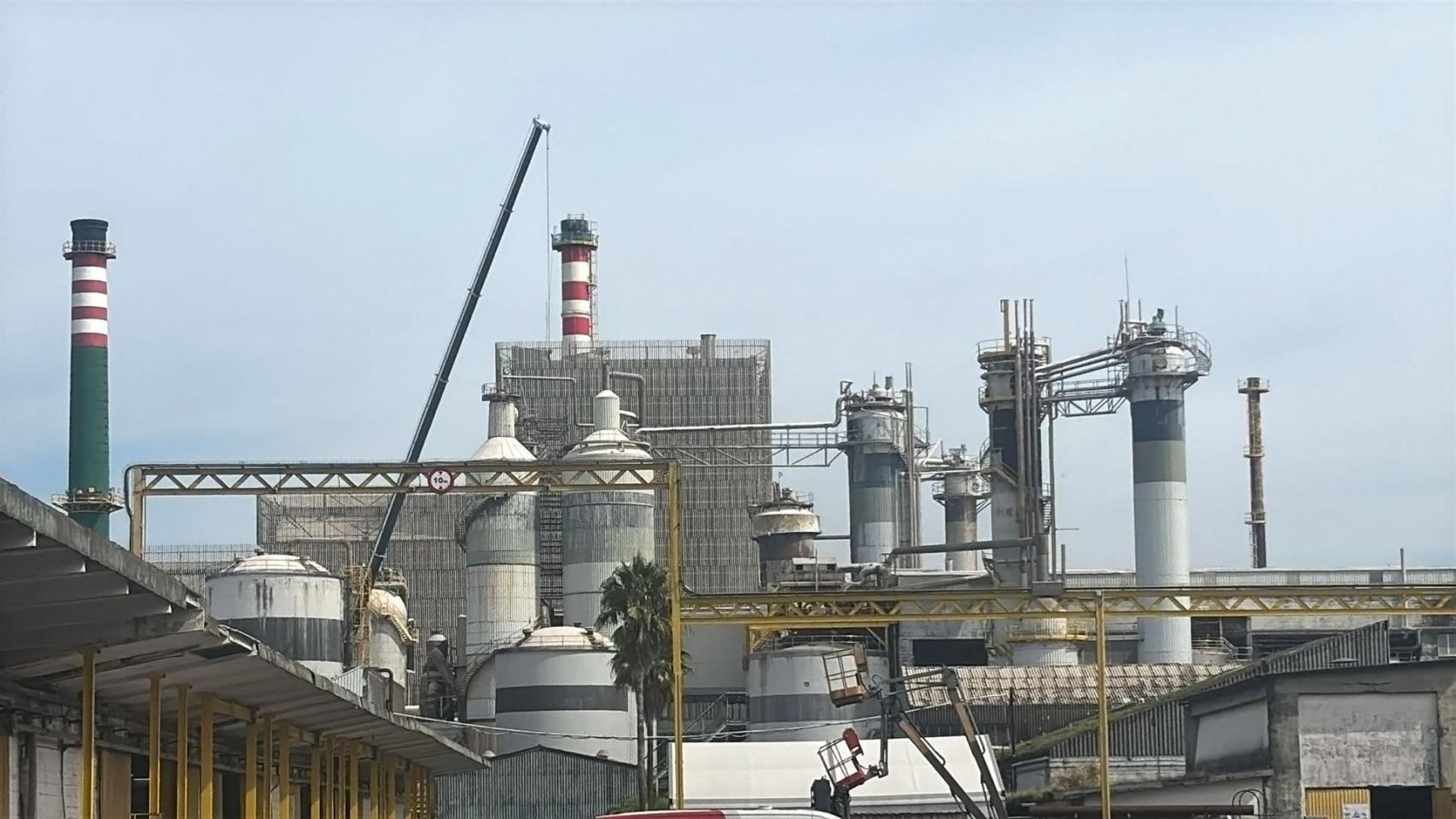 La fábrica de Ence en Pontevedra