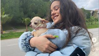 Rosalía con su perrito Mochi en Instagram.