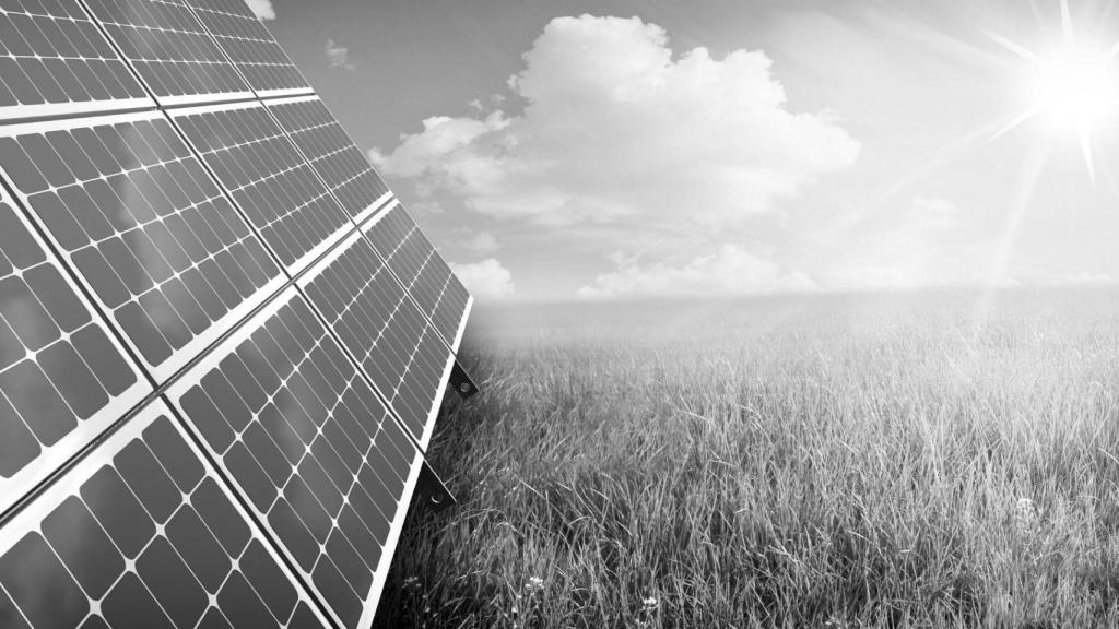 Paneles fotovoltaicos