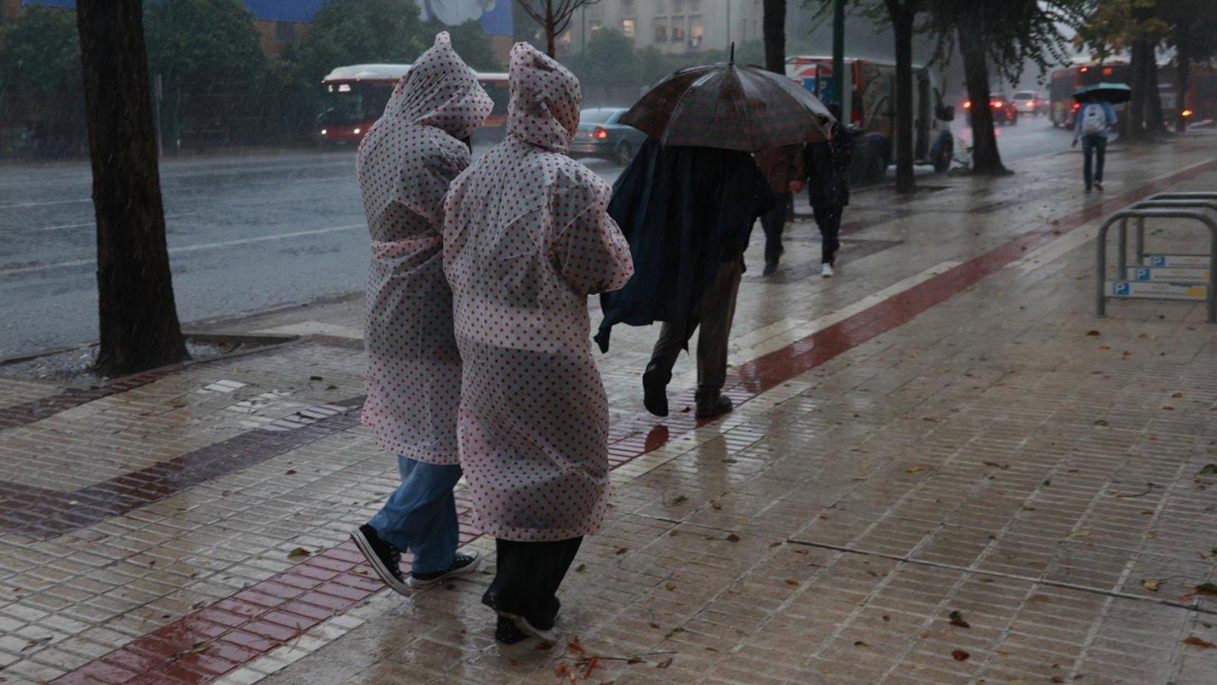 Lluvia en Sevilla este miércoles, 29 de octubre de 2025.