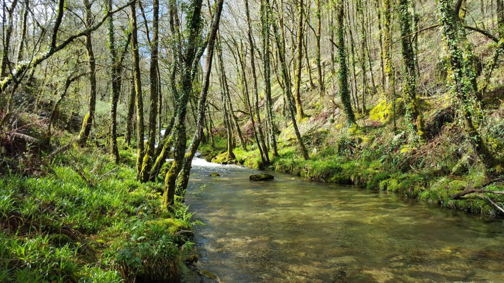 Río do Seixo, en Cerdedo-Cotobade