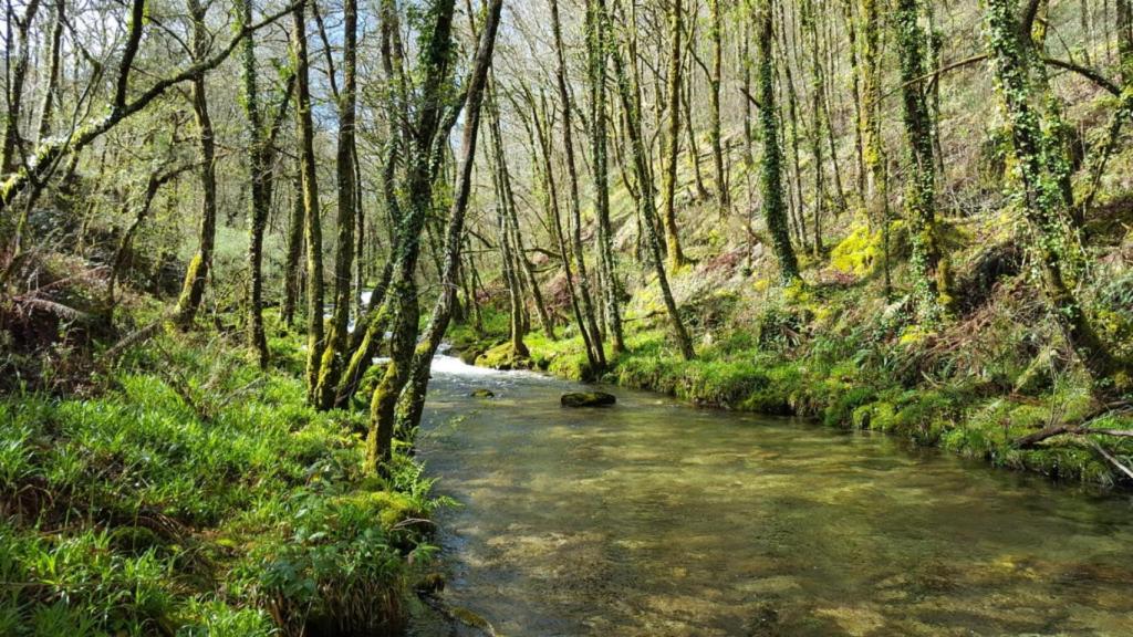 Río do Seixo, en Cerdedo-Cotobade