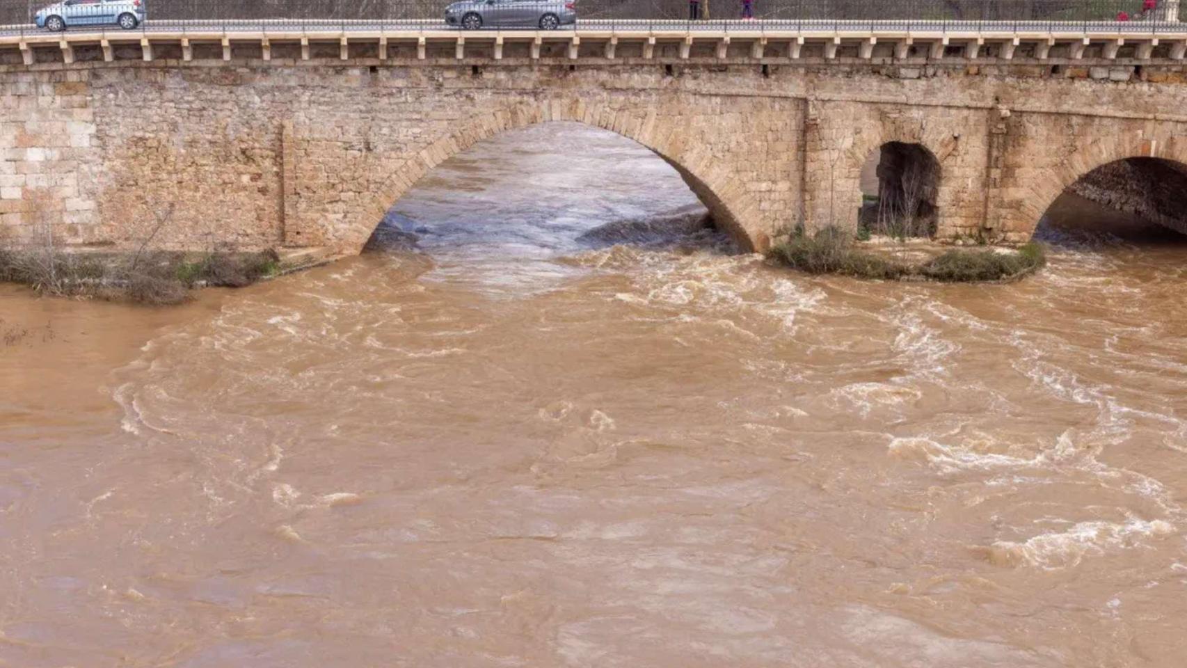 Río Henares a su paso por Guadalajara.