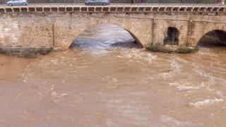 Río Henares a su paso por Guadalajara.