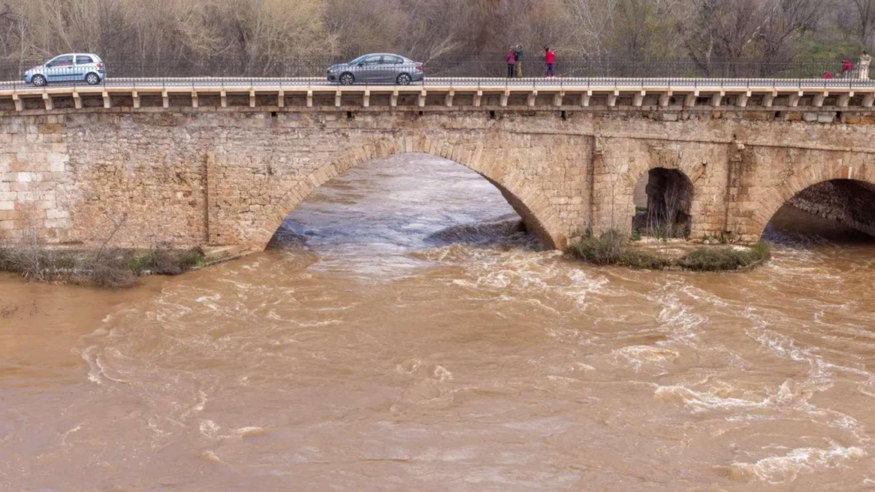 Río Henares a su paso por Guadalajara.