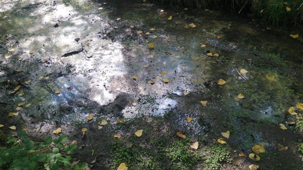 Contaminación en el valle de La Zapatera
