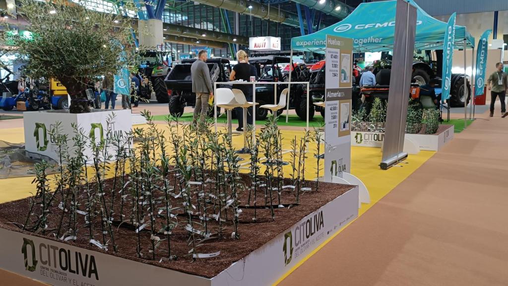 El Olivar 4.0 muestra las oportunidades de la digitalización en los cultivos de aceitunas.