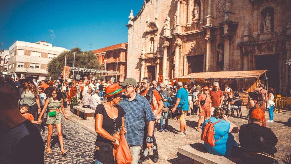 Alcalà de Xivert. Ajuntament Alcalà-Alcossebre