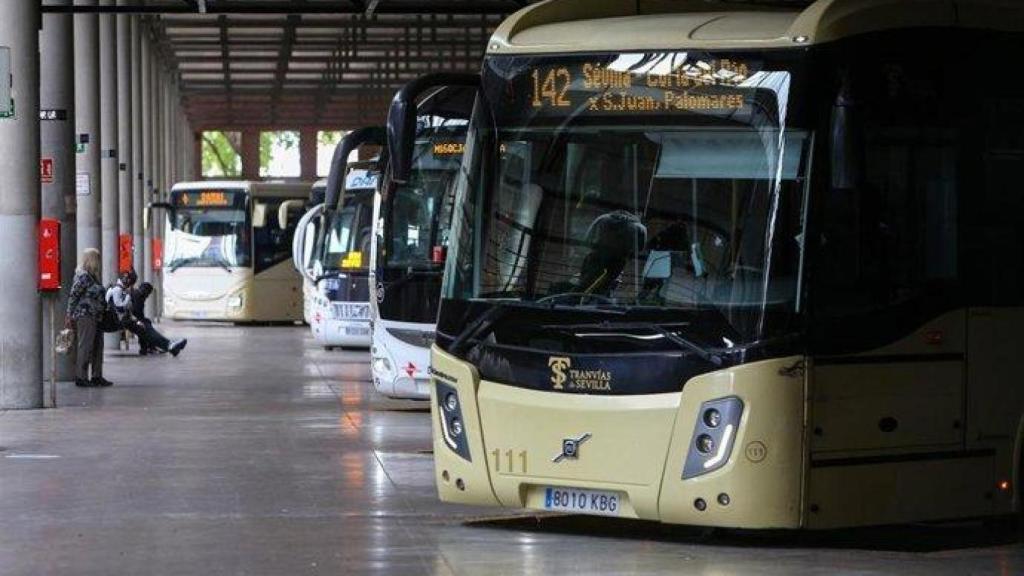 Imagen de autobuses del consorcio.
