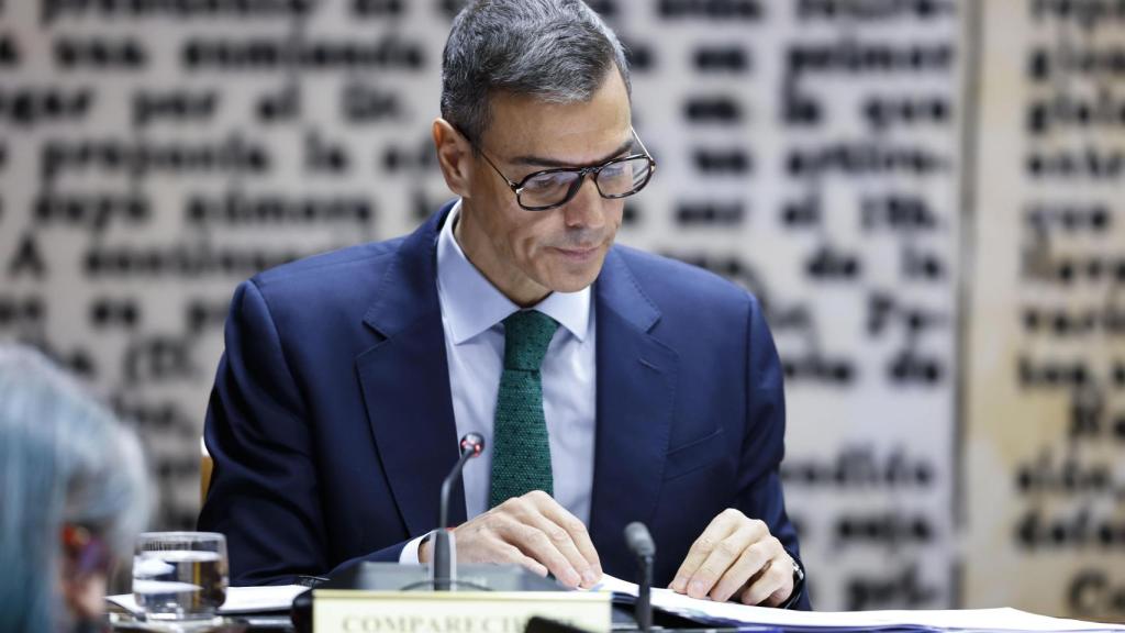 Pedro Sánchez comparece en el Senado.