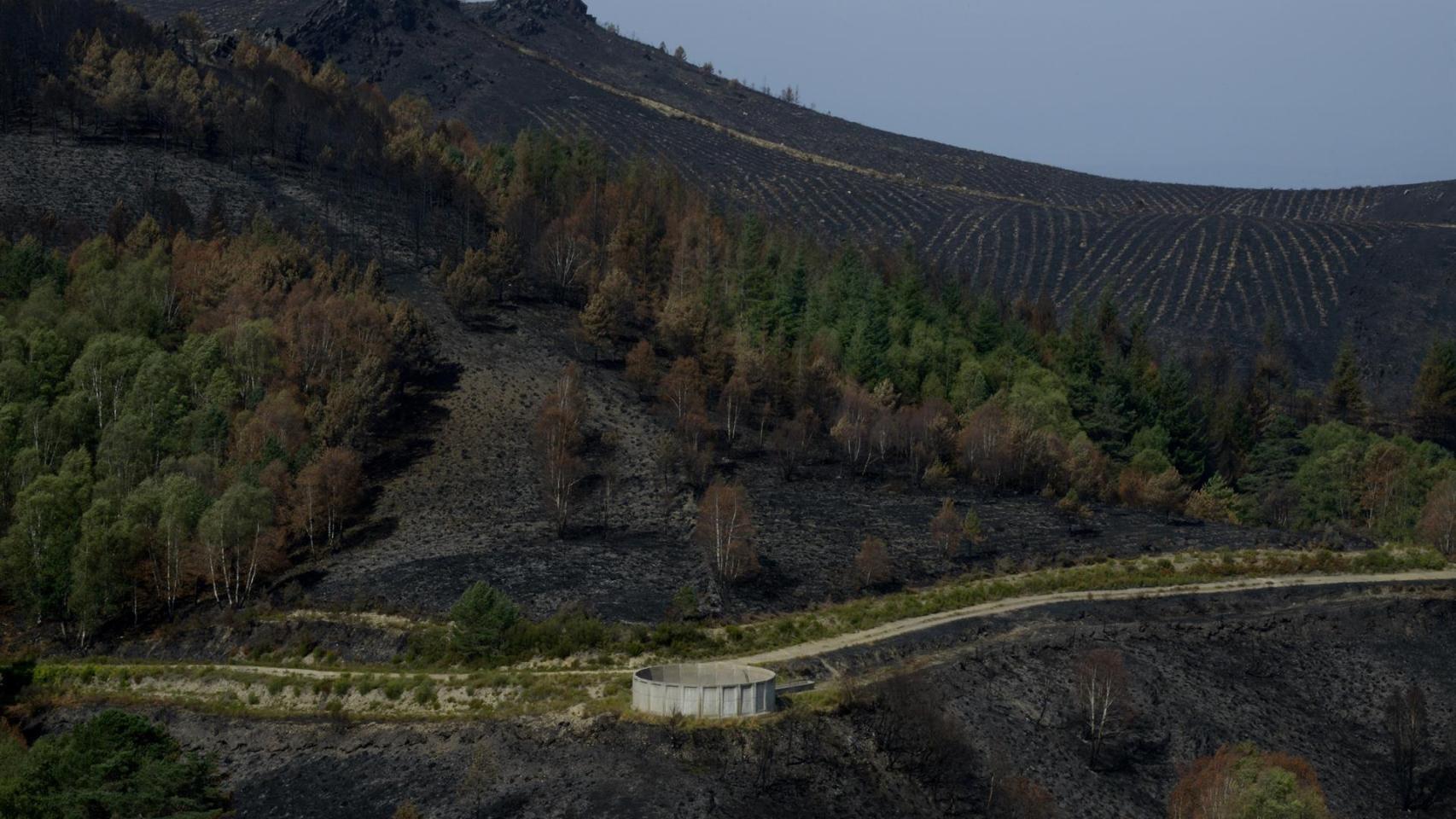 Zonas afectadas por los incendios en la provincia de Ourense