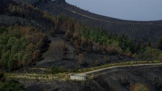 Zonas afectadas por los incendios en la provincia de Ourense