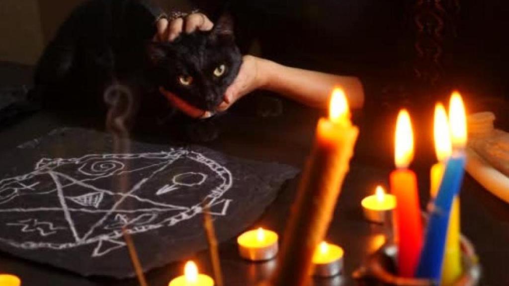 Los macabros rituales de sacrificio de animales en Halloween en España: Los satánicos buscan gatos negros