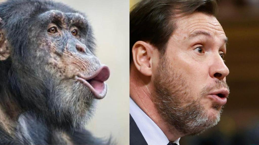 Imagen difundida por el PP en su cuenta de X.