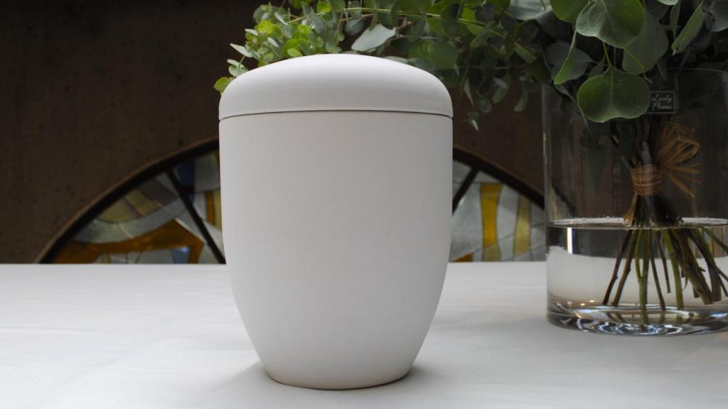 Una urna funeraria de Pazy.