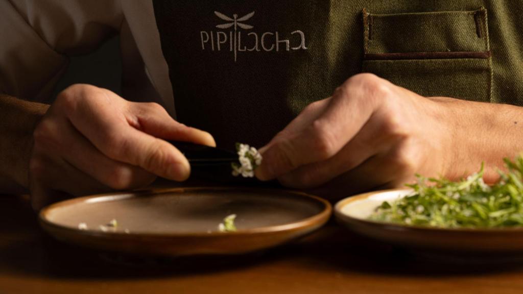 Flores de Pipilacha.