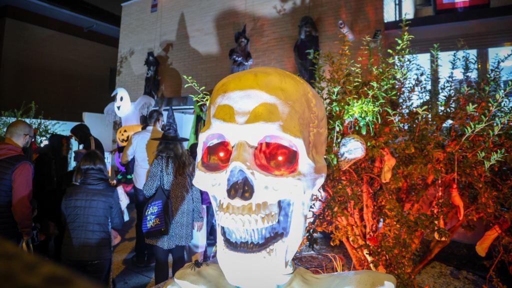 Decoración del jardín de una casa.