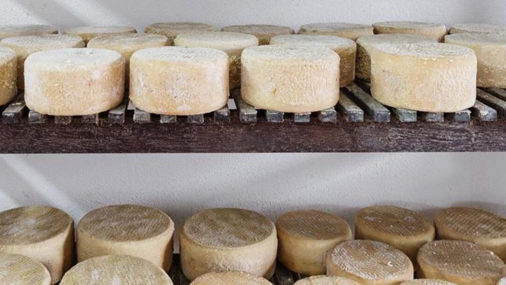 Queso Palmero de La Candilera.