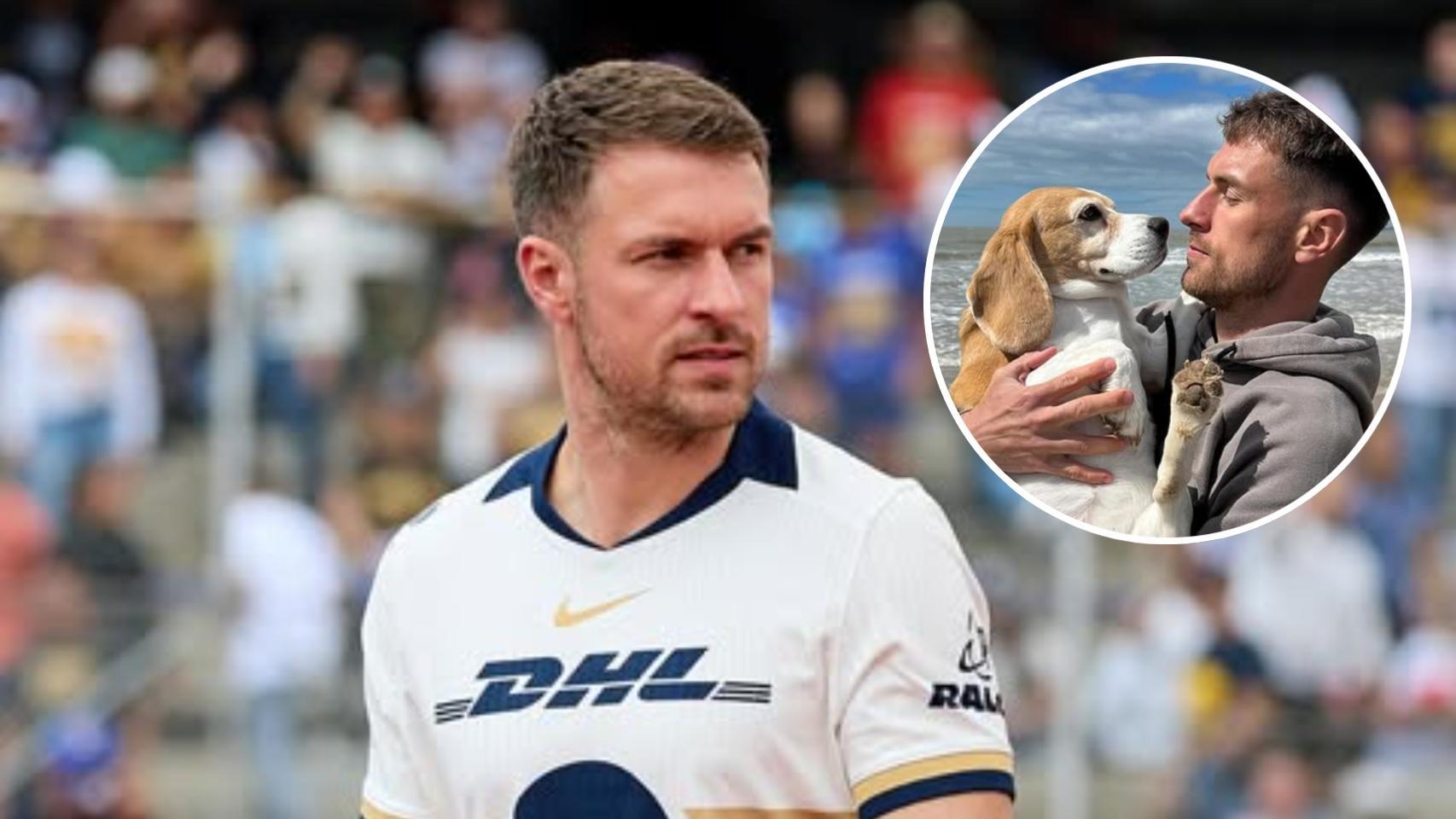 Aaron Ramsey y su perra desaparecida Halo