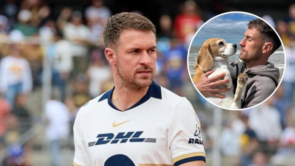 Aaron Ramsey y su perra desaparecida Halo