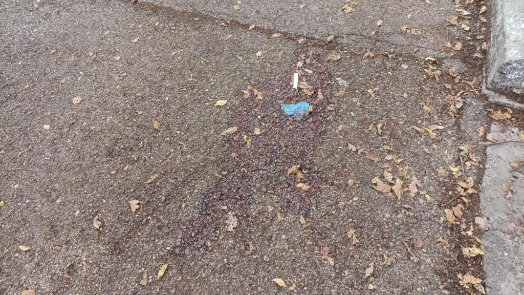 Mancha de sangre tras el altercado.