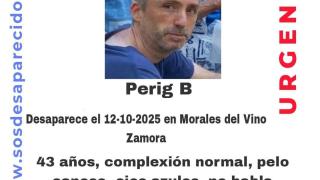 Poster of disappearance of Perig B