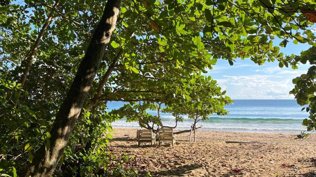 Playa cercana a la cabaña de  Claudia y Bea.