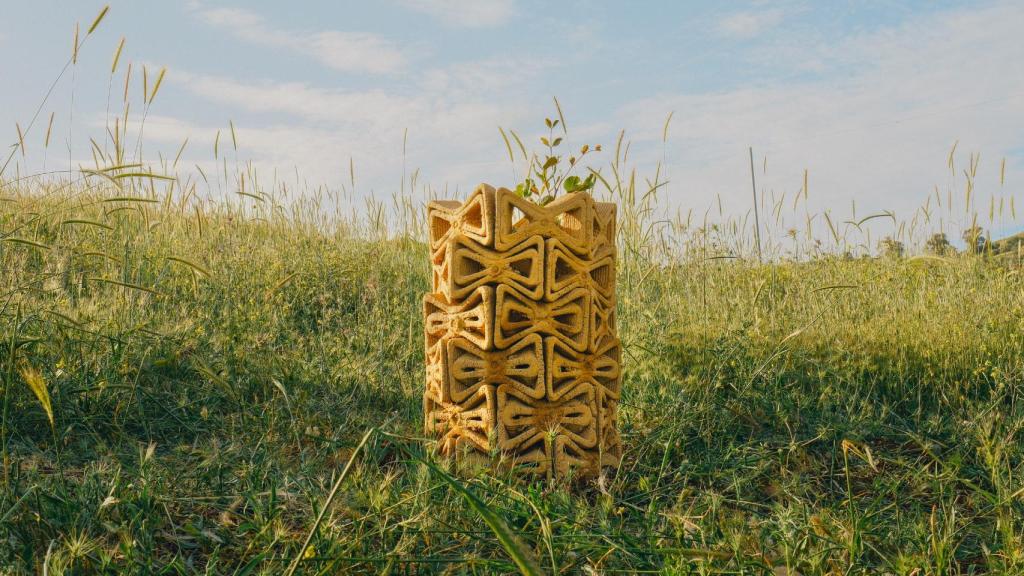 Estructura final de TreeSoil protegiendo un árbol