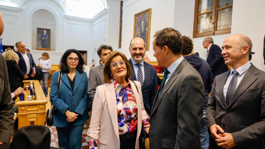 María de los Ángeles Martíne, de la Cámara de Comercio, en el Salón de Plenos.