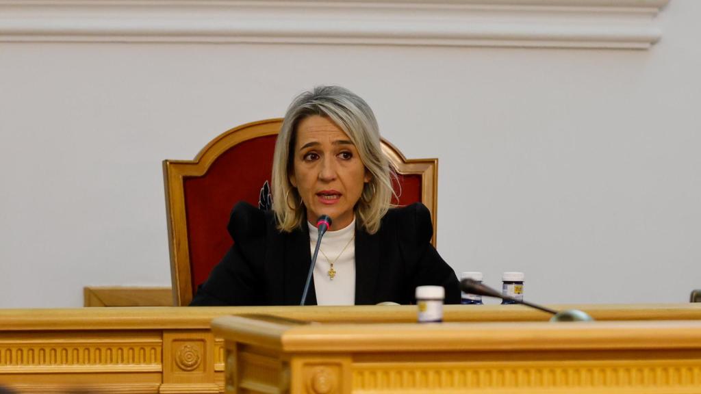 La vicealcaldesa Inés Cañizares ha presidido el Pleno durante la intervención del regidor.
