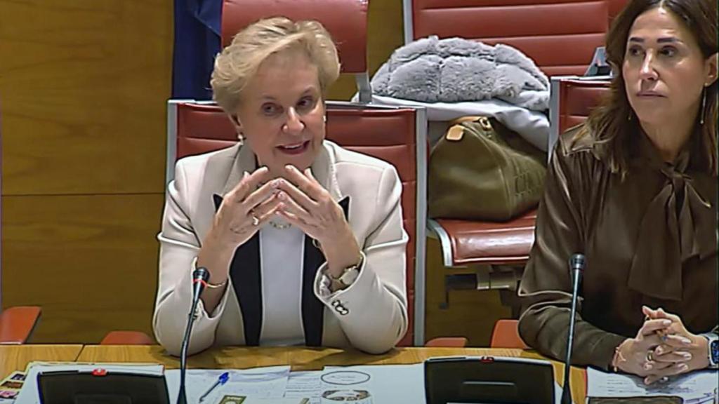 Un momento de la intervención de Carmen Quintanilla en el Senado.