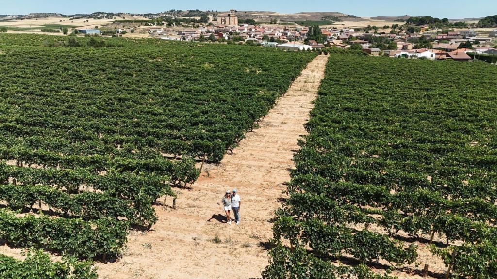 Alba Abiega entre viñedos.