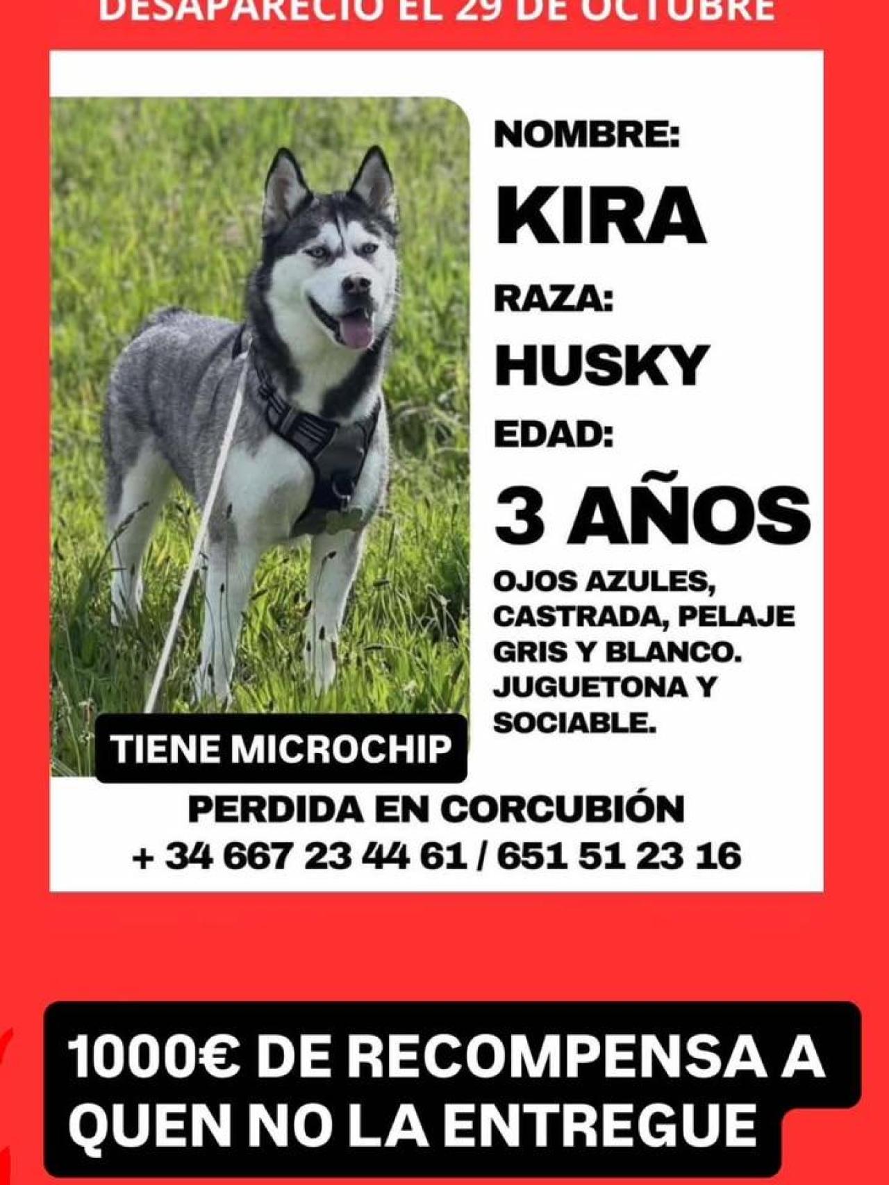Cartel de búsqueda de Kira