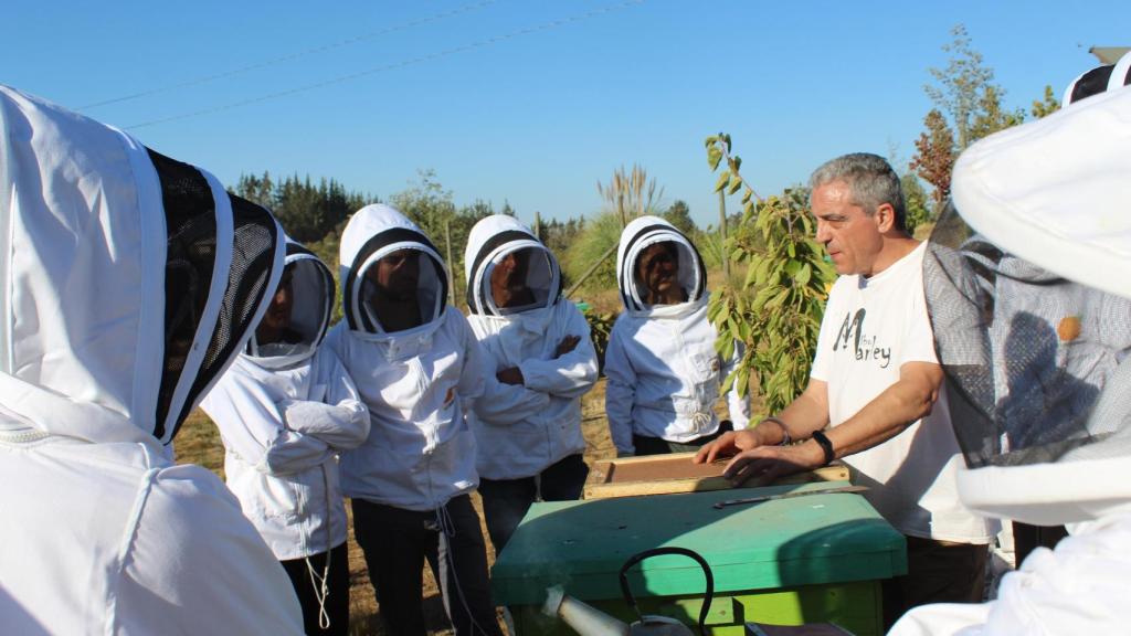 Jesús Manzano, fundador de Ecocolmena, en uno de los curos que imparte. Foto Ecocolmena.