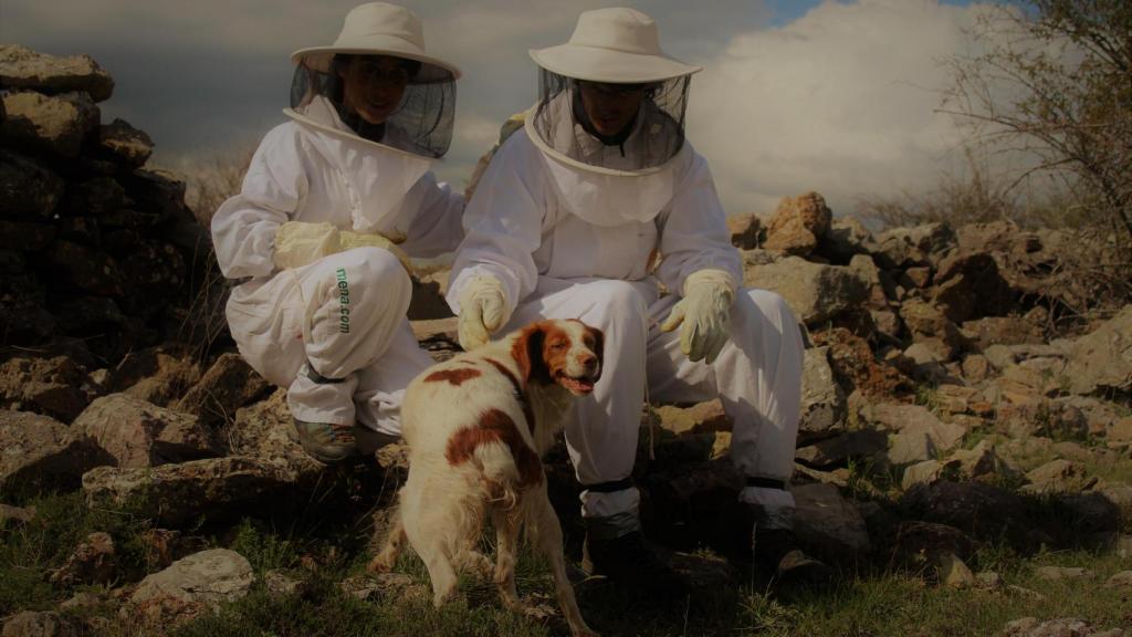 Ecocolmena impulsa cursos presenciales y 'online', talleres escolares y catas de miel.