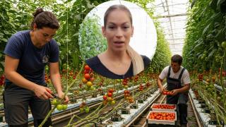 Montaje de Mara con un invernadero en una imagen creada con IA.