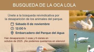 Cartel de la búsqueda de la oca Lola.
