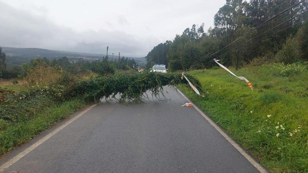 Un árbol caído sobre el tendido eléctrico corta la circulación en una carretera de Carballo (A Coruña).