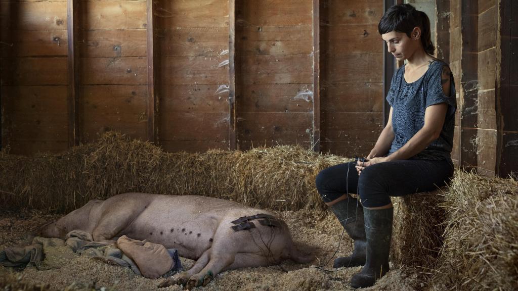 Fotografía parte del proyecto 'Sanctuaria'.