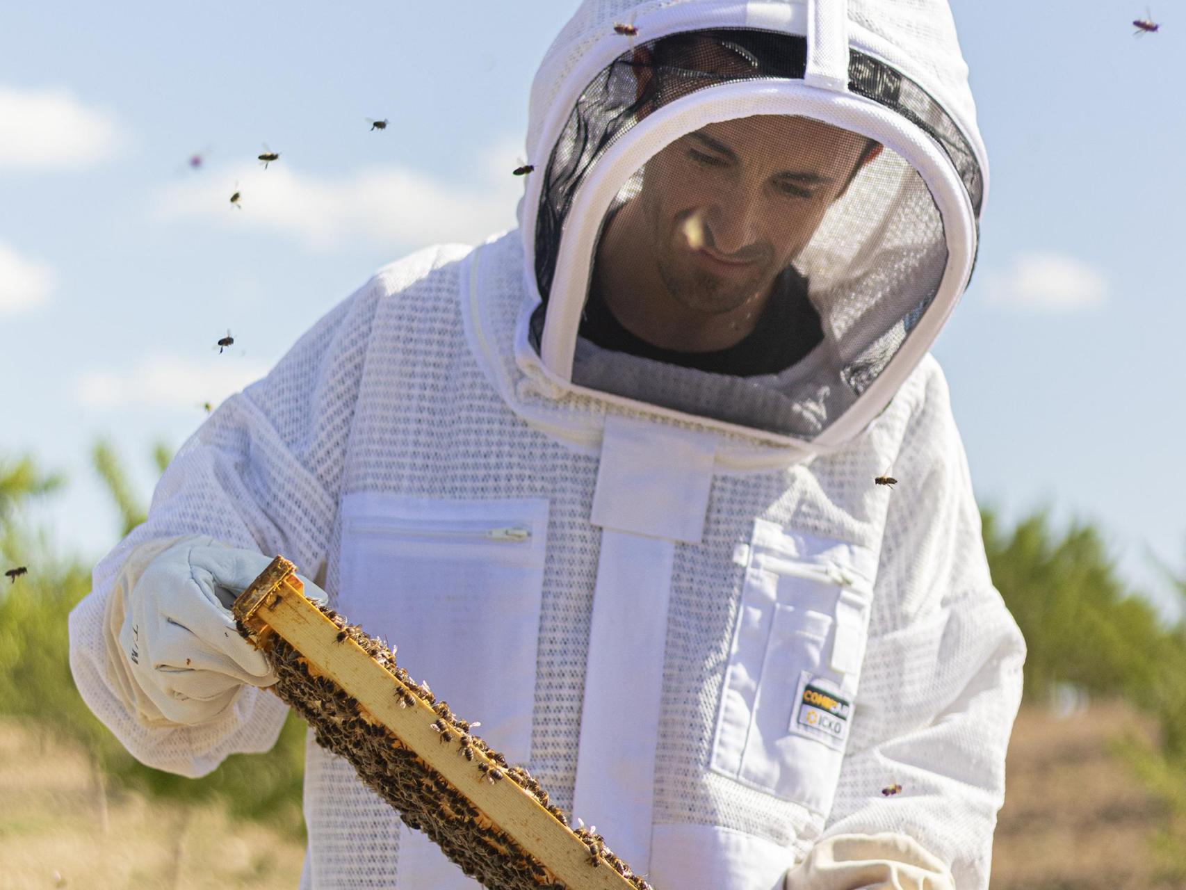 Fernando Ramón, apicultor.