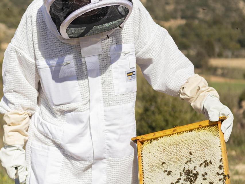 Fernando Ramón en sus colmenas.