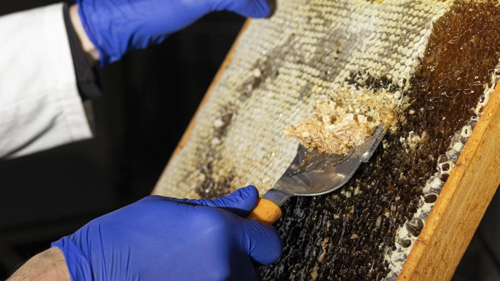 Uno de los panales de Arroyo Miel.