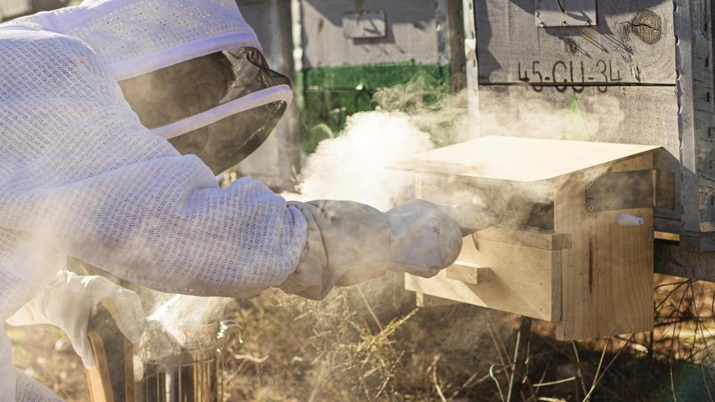 Fernando echando humo para calmar a la abejas.