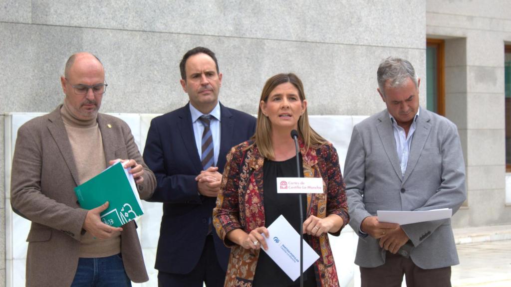 Carolina Agudo este jueves ante los medios de comunicación en las puertas de las Cortes regionales.