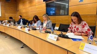 Carmen Susín, en una de las últimas sectoriales presenciales.