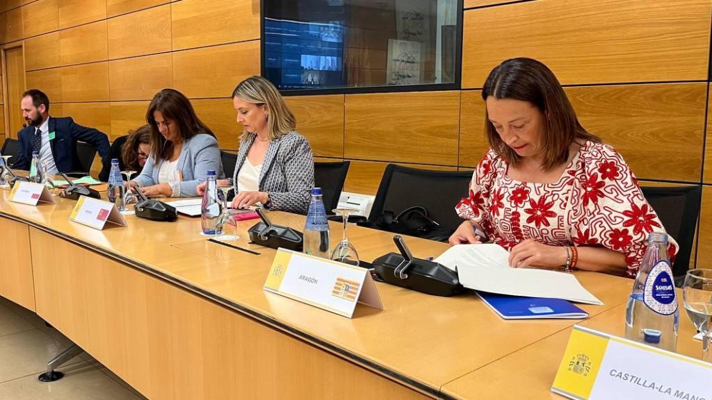 Carmen Susín, en una de las últimas sectoriales presenciales.